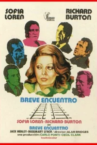 Короткая встреча 