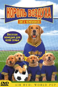 Король воздуха: Лига чемпионов 